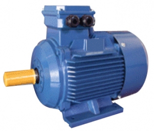 Motor